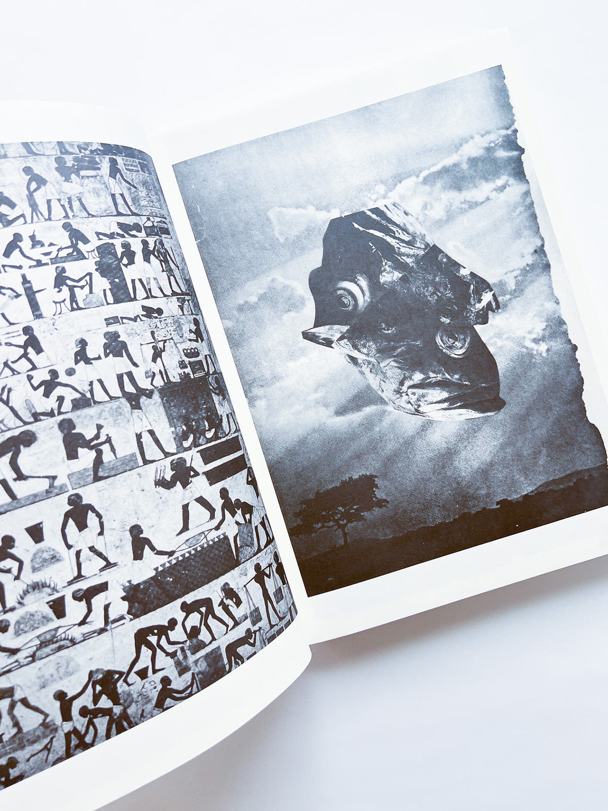 NEWSPAPER / Steve Lawrence, Peter Hujar, Andrew Ullrick