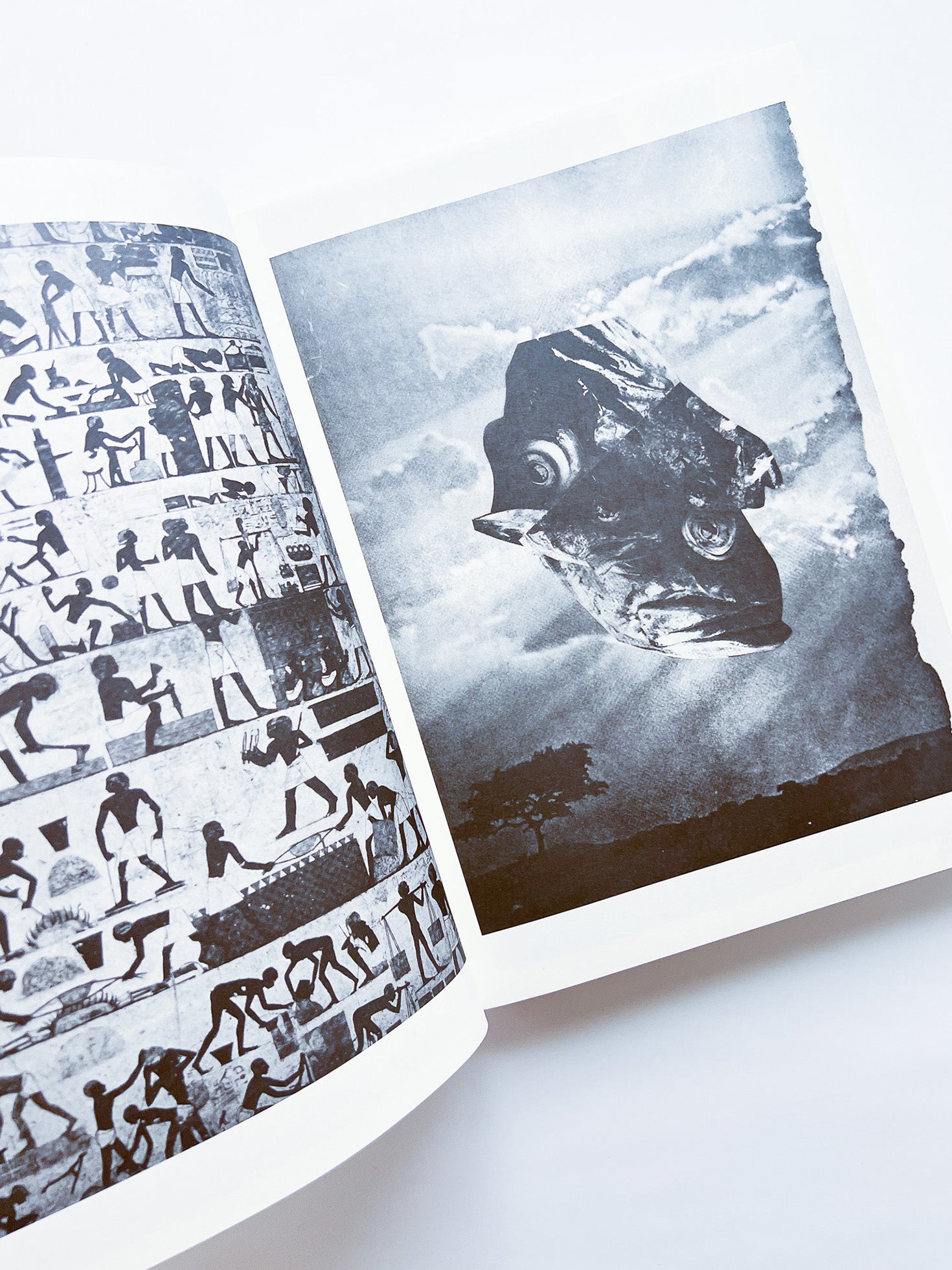 NEWSPAPER / Steve Lawrence, Peter Hujar, Andrew Ullrick