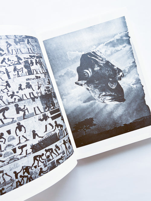 NEWSPAPER / Steve Lawrence, Peter Hujar, Andrew Ullrick