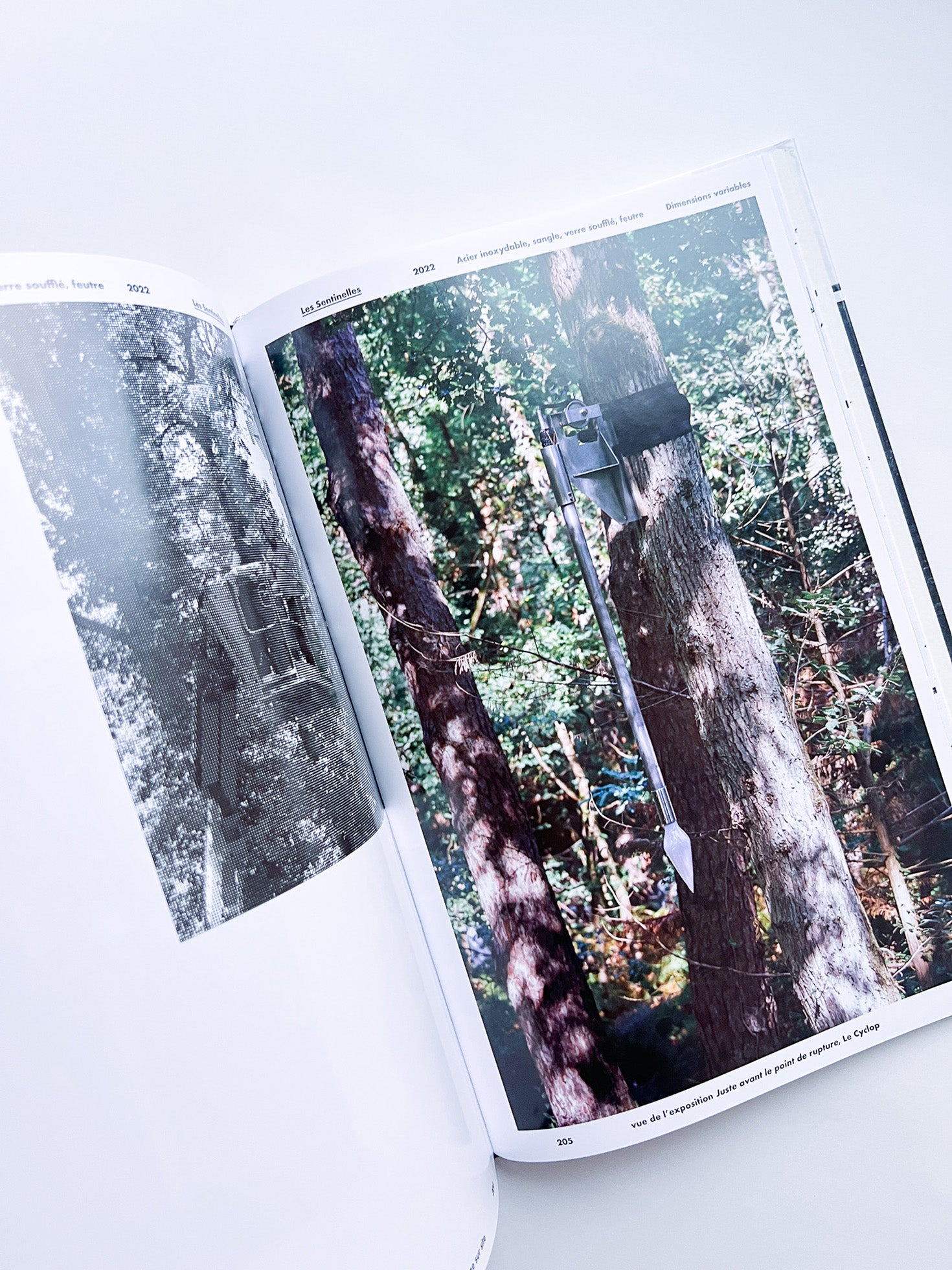 je gage, iels gagent, nous gageons / Jennifer Caubet