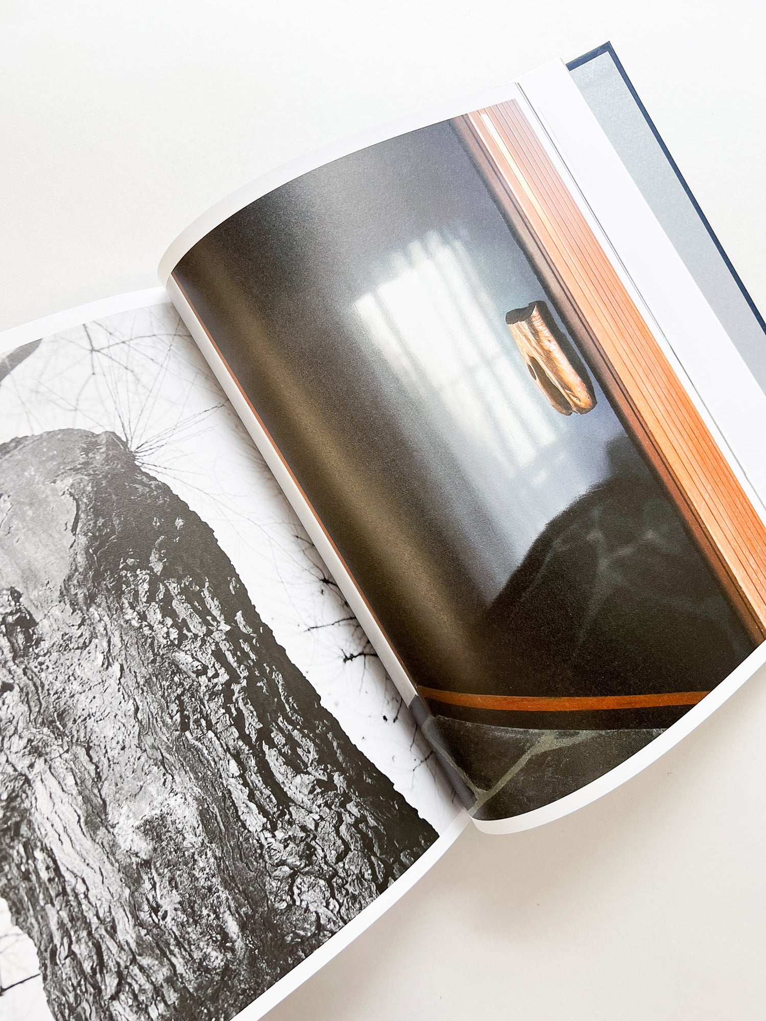 LIVING WITH CHARLOTTE PERRIAND / Charlotte Perriand