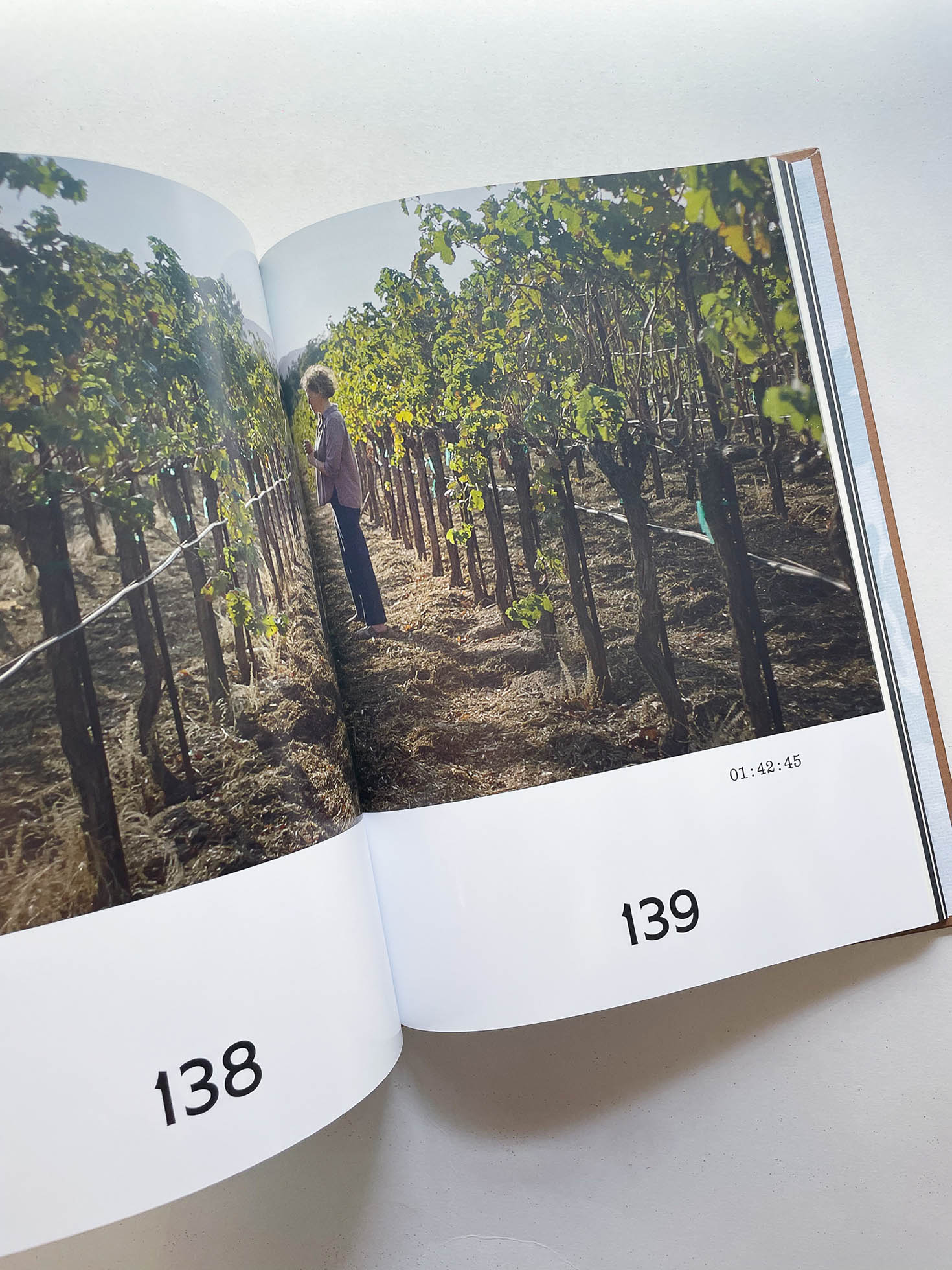 20TH CENTURY WOMEN SCREENPLAY BOOK / Mike Mills