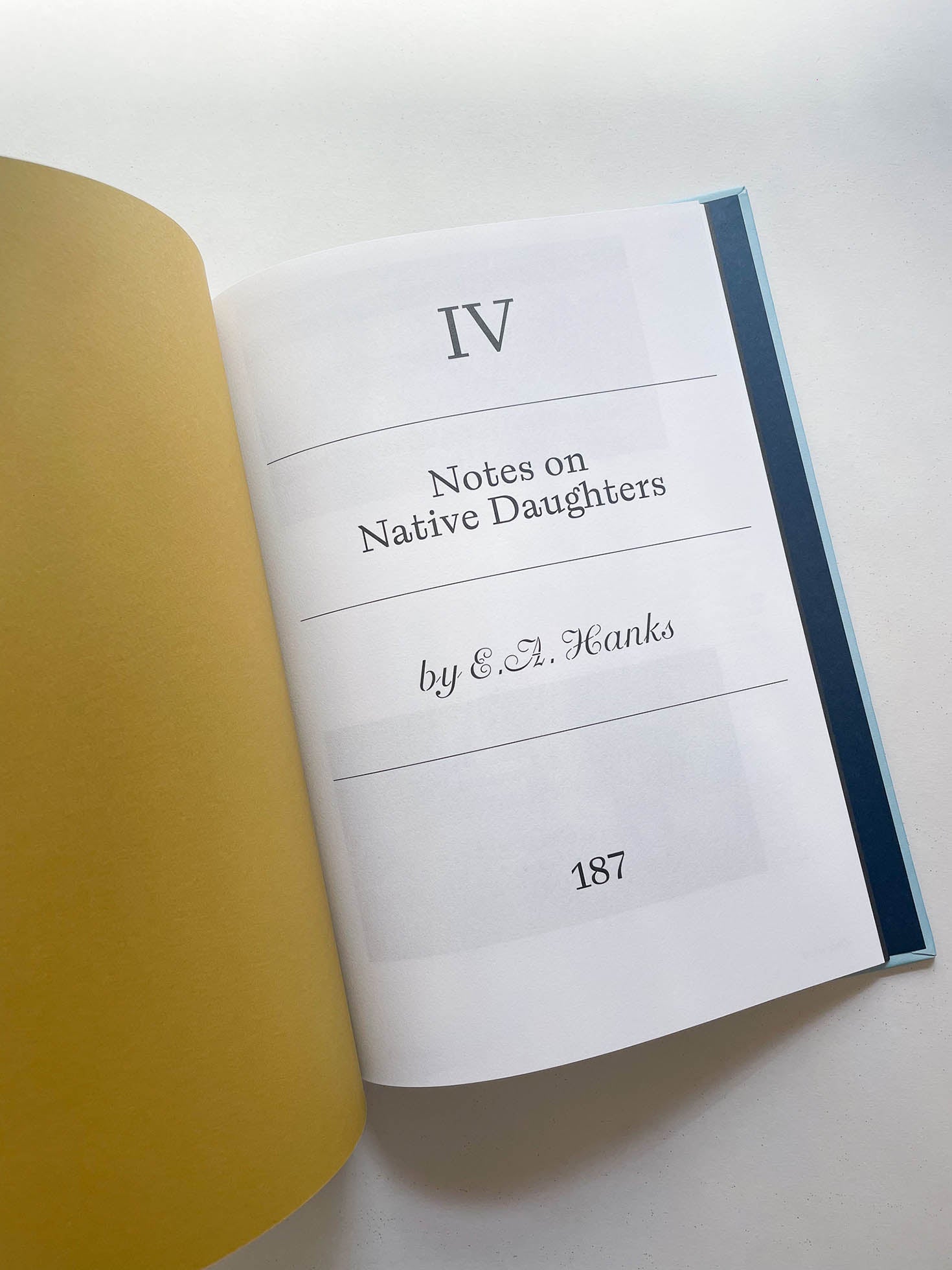 LADY BIRD SCREENPLAY BOOK / Greta Gerwig