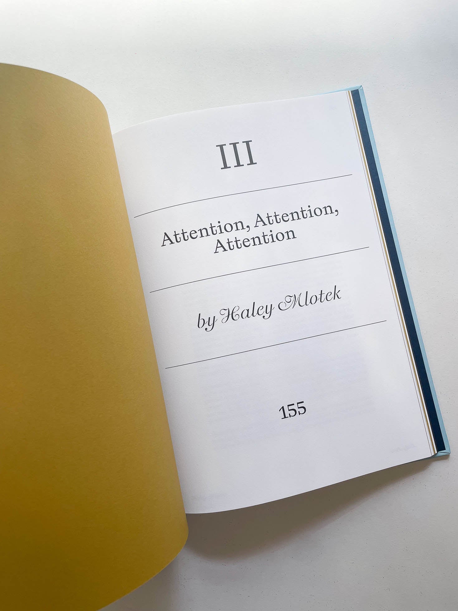 LADY BIRD SCREENPLAY BOOK / Greta Gerwig