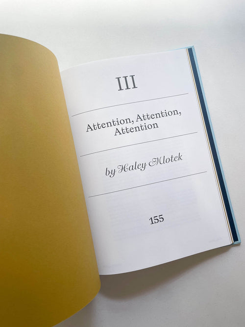 LADY BIRD SCREENPLAY BOOK / Greta Gerwig