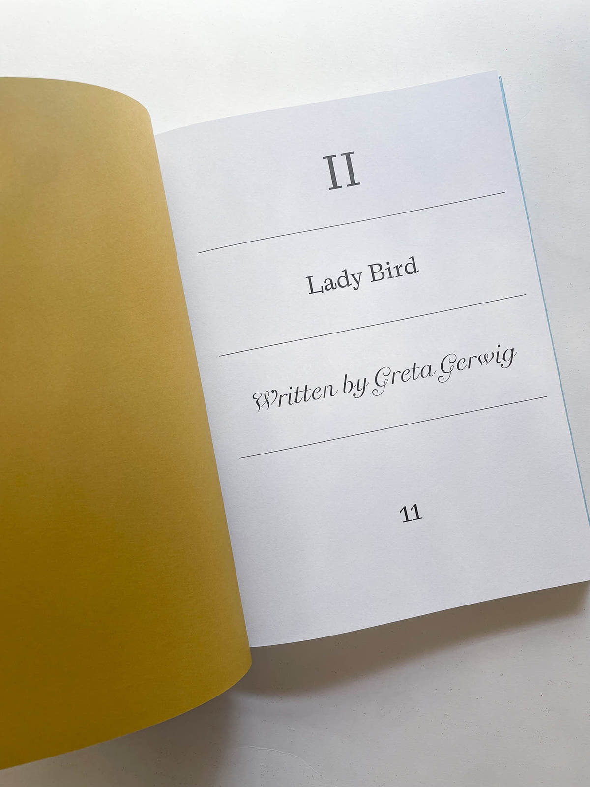 LADY BIRD SCREENPLAY BOOK / Greta Gerwig
