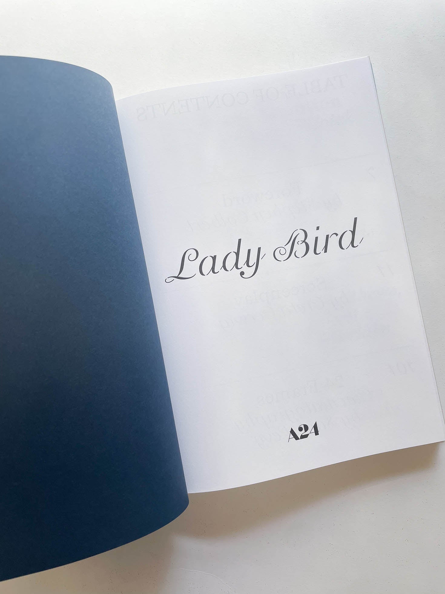 LADY BIRD SCREENPLAY BOOK / Greta Gerwig