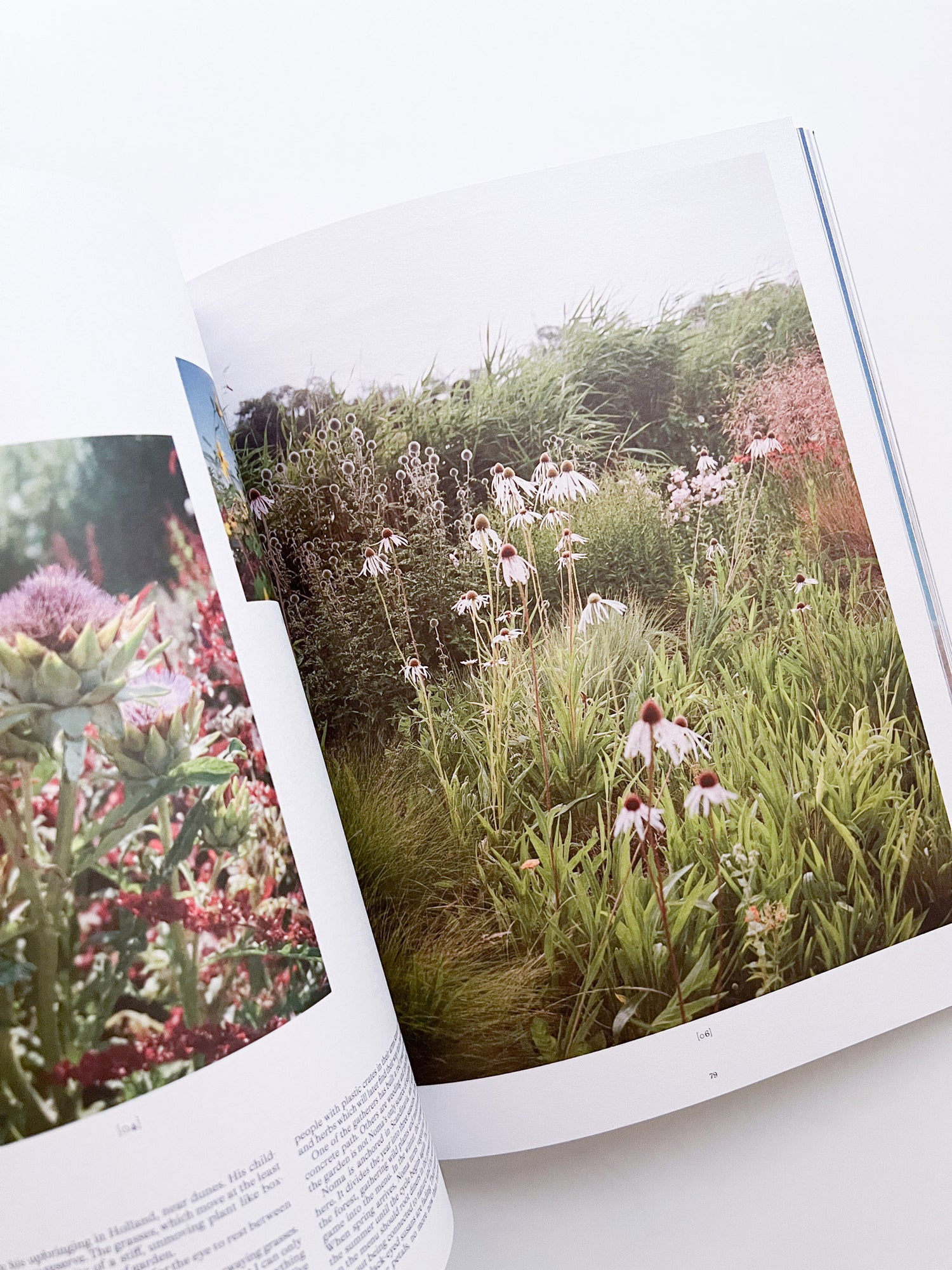 A Magazine Curated By Cecilie Bahnsen