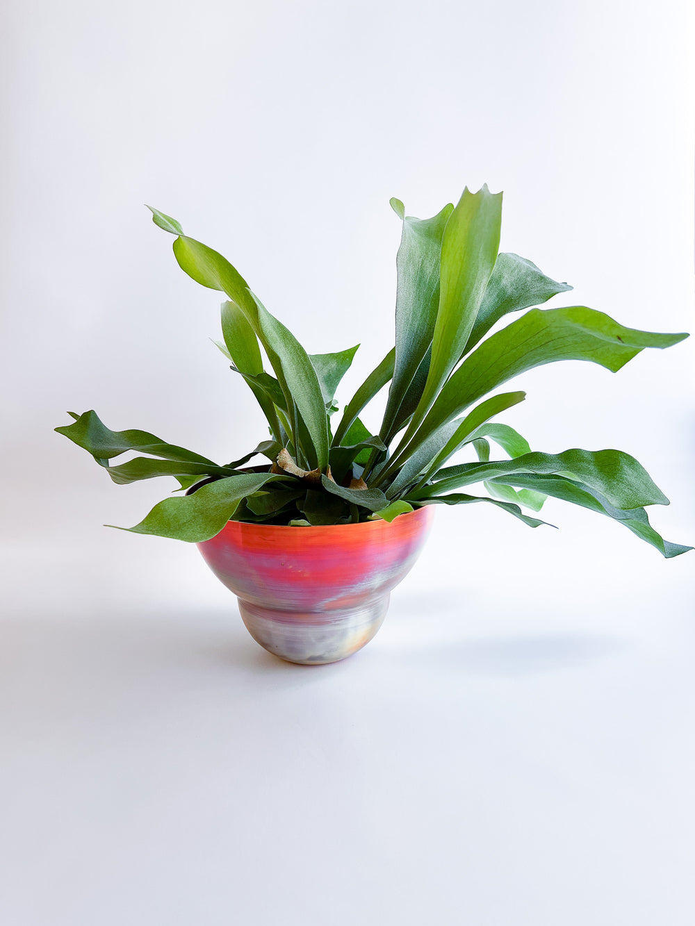 copper pot　TYPE #4〈metalic〉