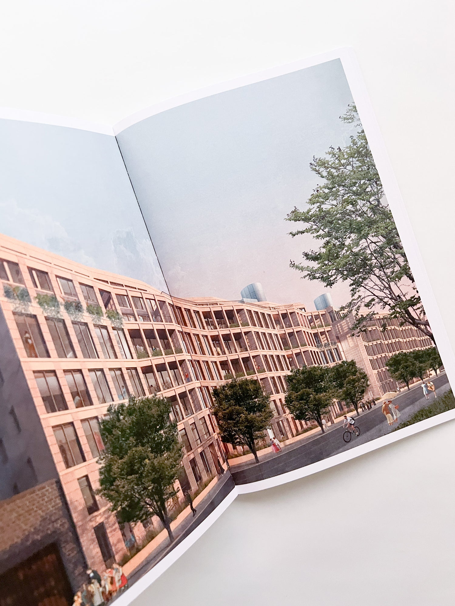 SUSPENDED MOMENT: The Architecture of FRIDA ESCOBEDO