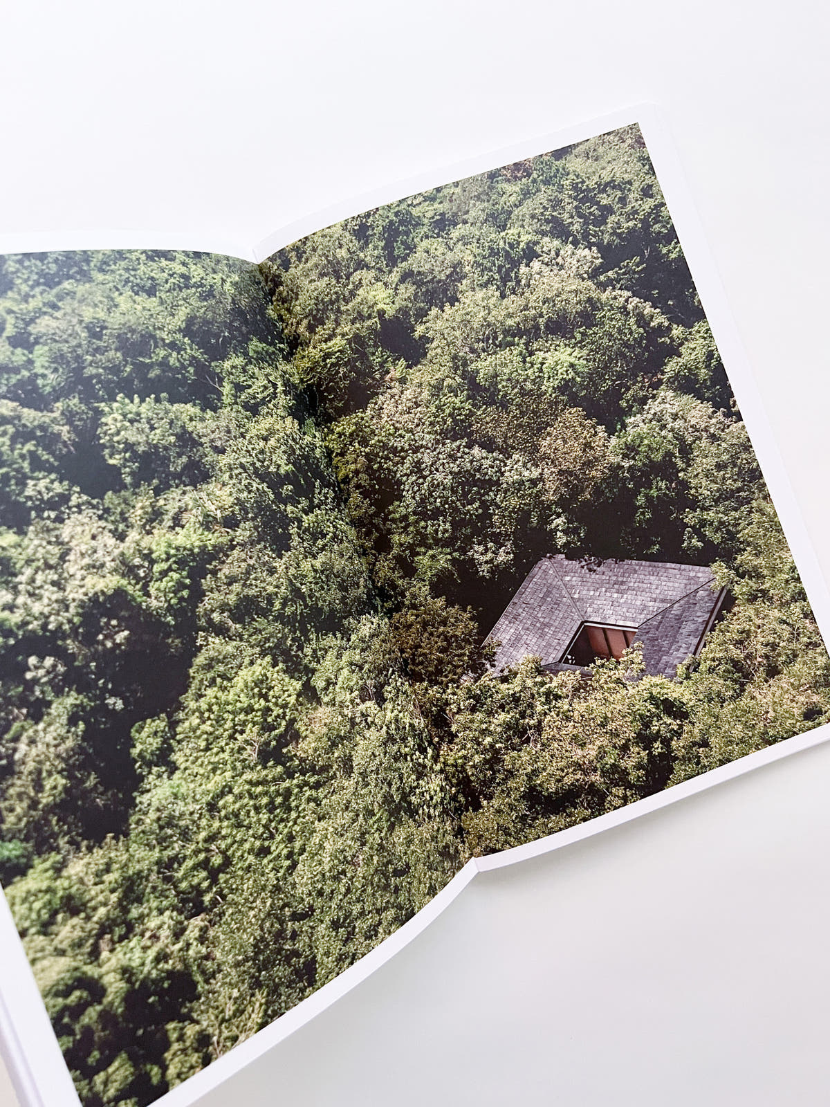 SUSPENDED MOMENT: The Architecture of FRIDA ESCOBEDO