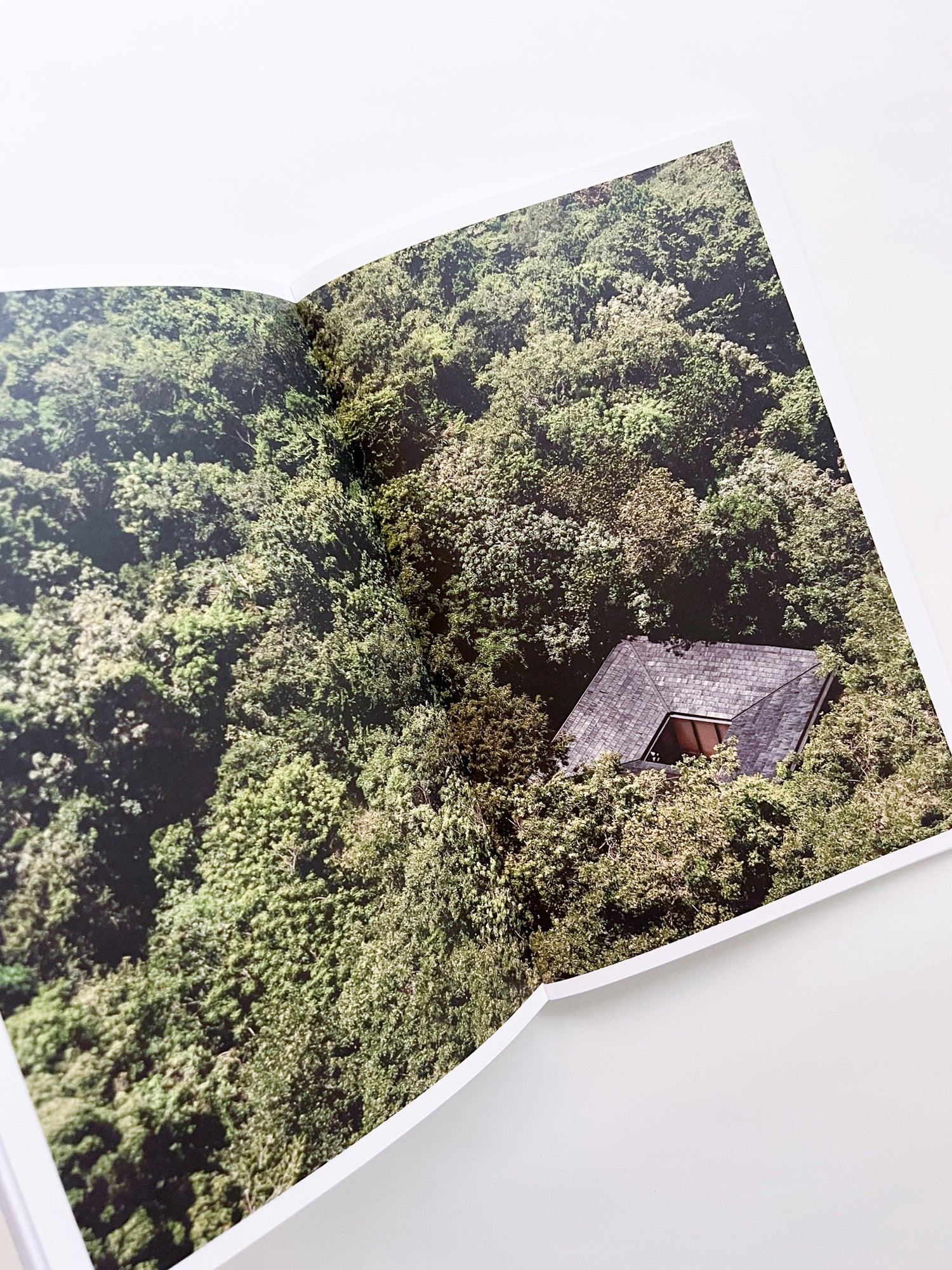 SUSPENDED MOMENT: The Architecture of FRIDA ESCOBEDO