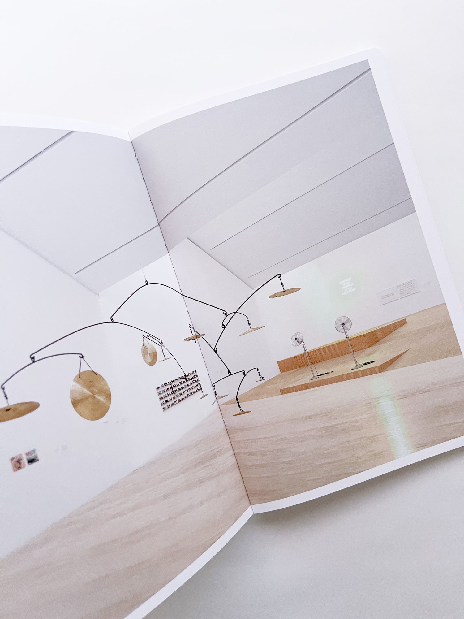 SUSPENDED MOMENT: The Architecture of FRIDA ESCOBEDO