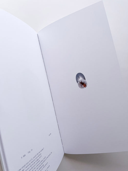THE BOOK OF HOURS / Frida Escobedo
