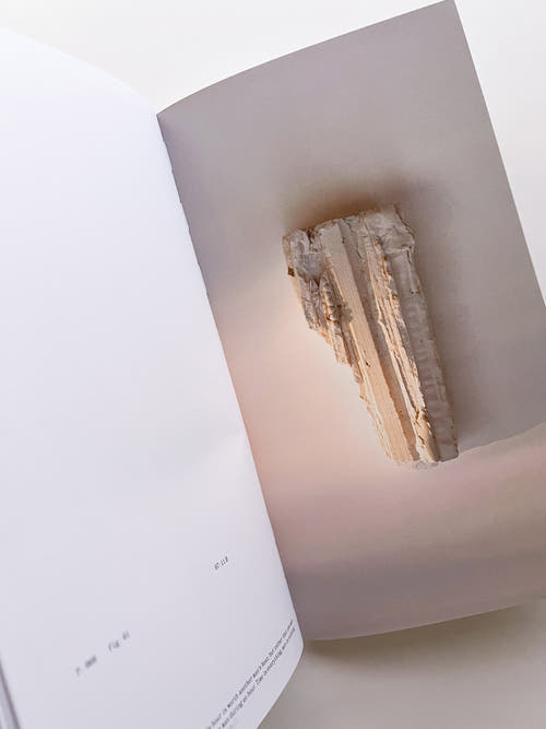 THE BOOK OF HOURS / Frida Escobedo