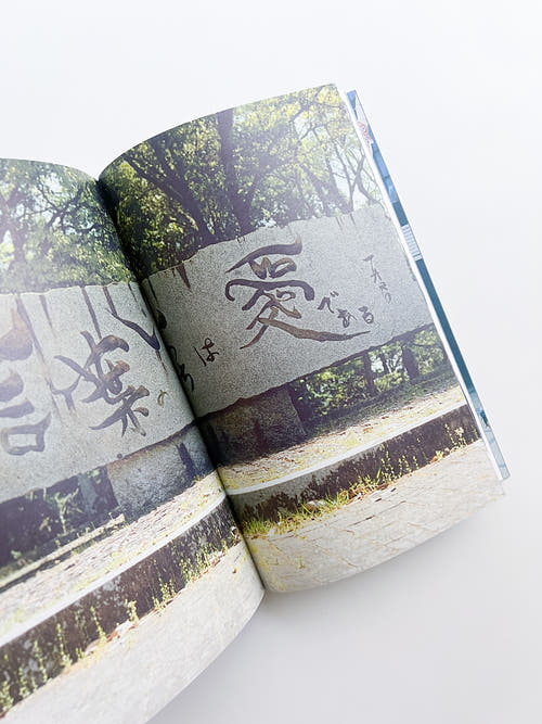 雷写 / Masafumi Sanai [SIGNED]