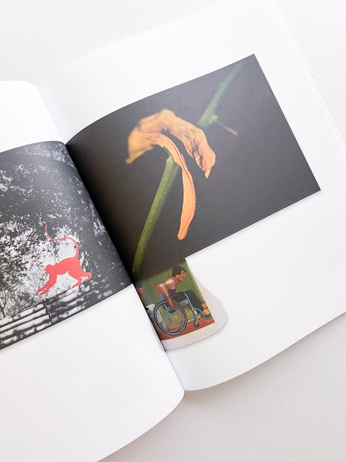 JOHN BALDESSARI: AHMEDABAD 1992 / John Baldessari