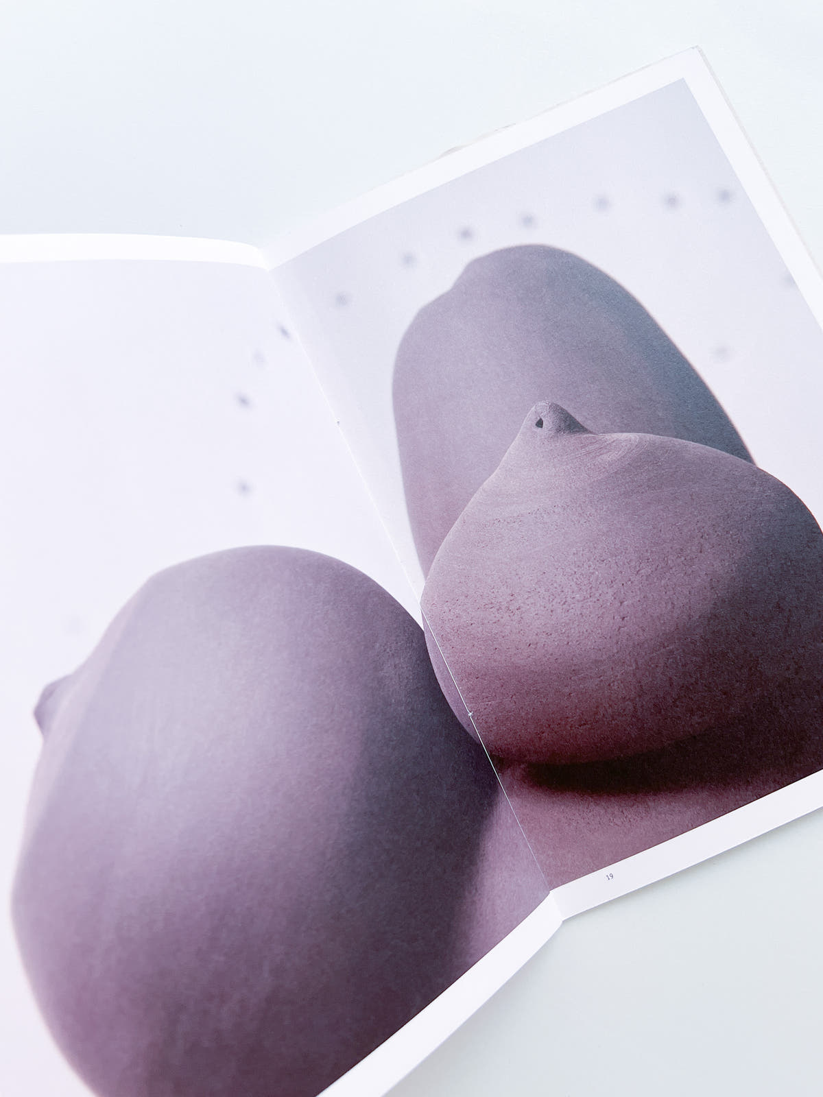 Fruits of Labor / Ruth van Beek, Mariken Wessels
