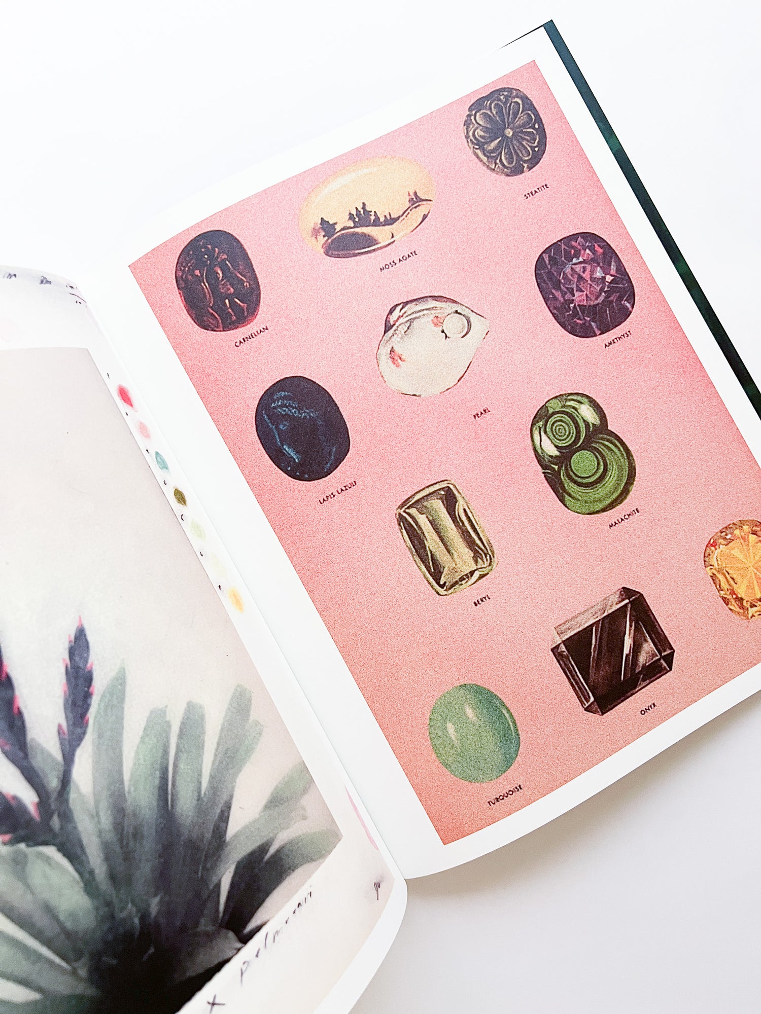 APOPHENIA VOLUME 02: Exquisite Corpse / Julie Wolfe