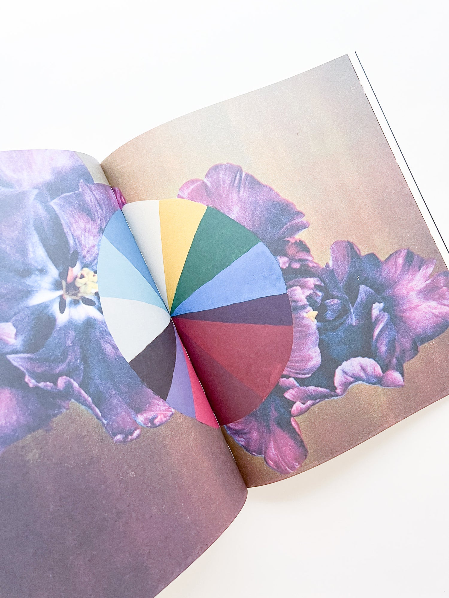 APOPHENIA VOLUME 02: Exquisite Corpse / Julie Wolfe