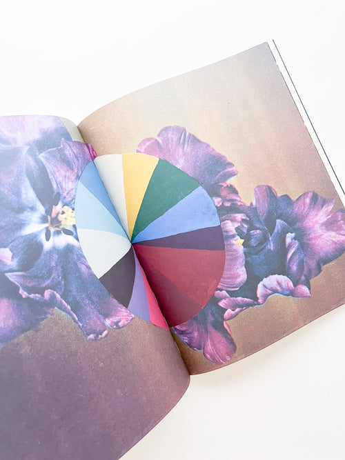 APOPHENIA VOLUME 02: Exquisite Corpse / Julie Wolfe