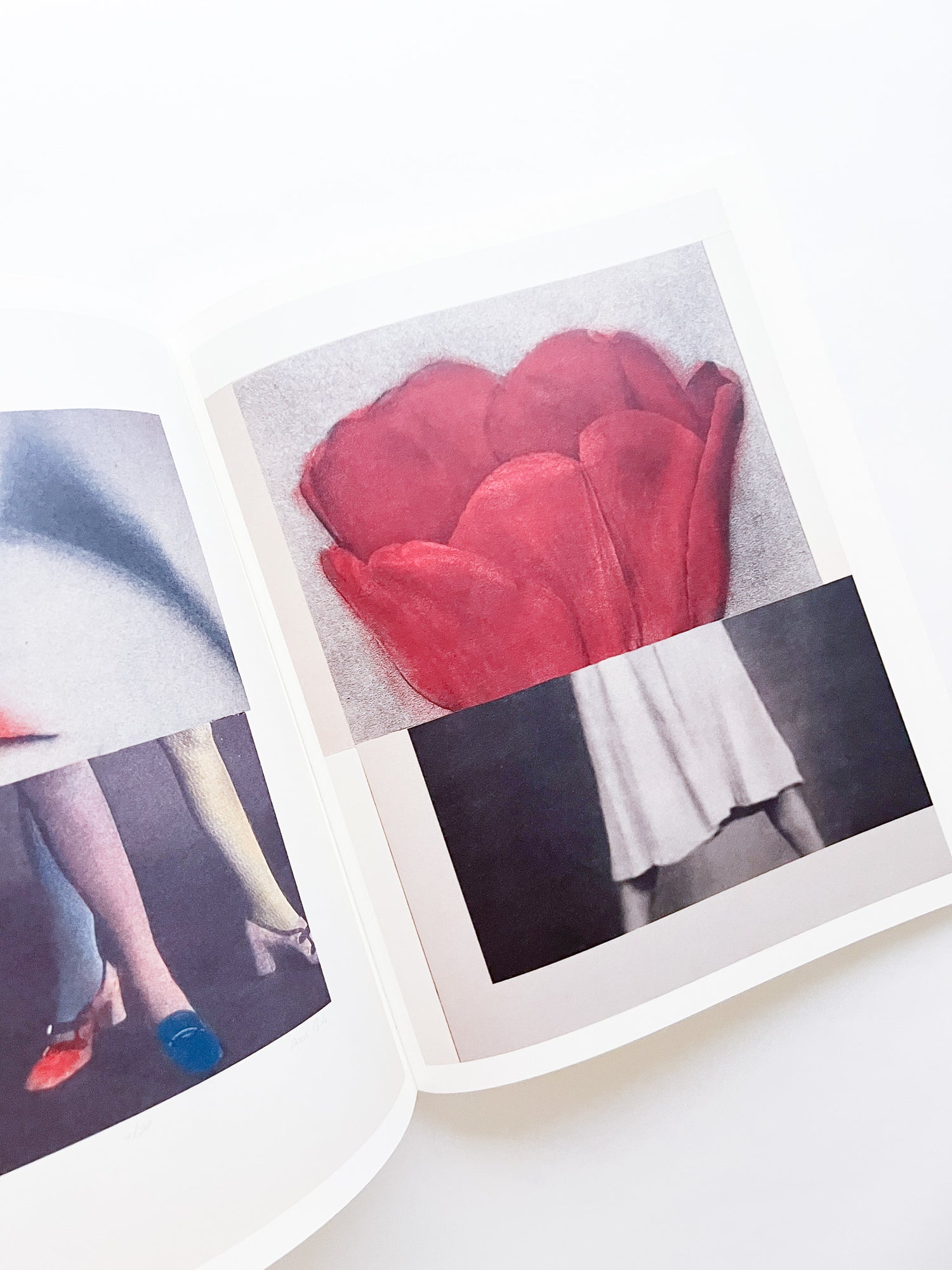 APOPHENIA VOLUME 02: Exquisite Corpse / Julie Wolfe