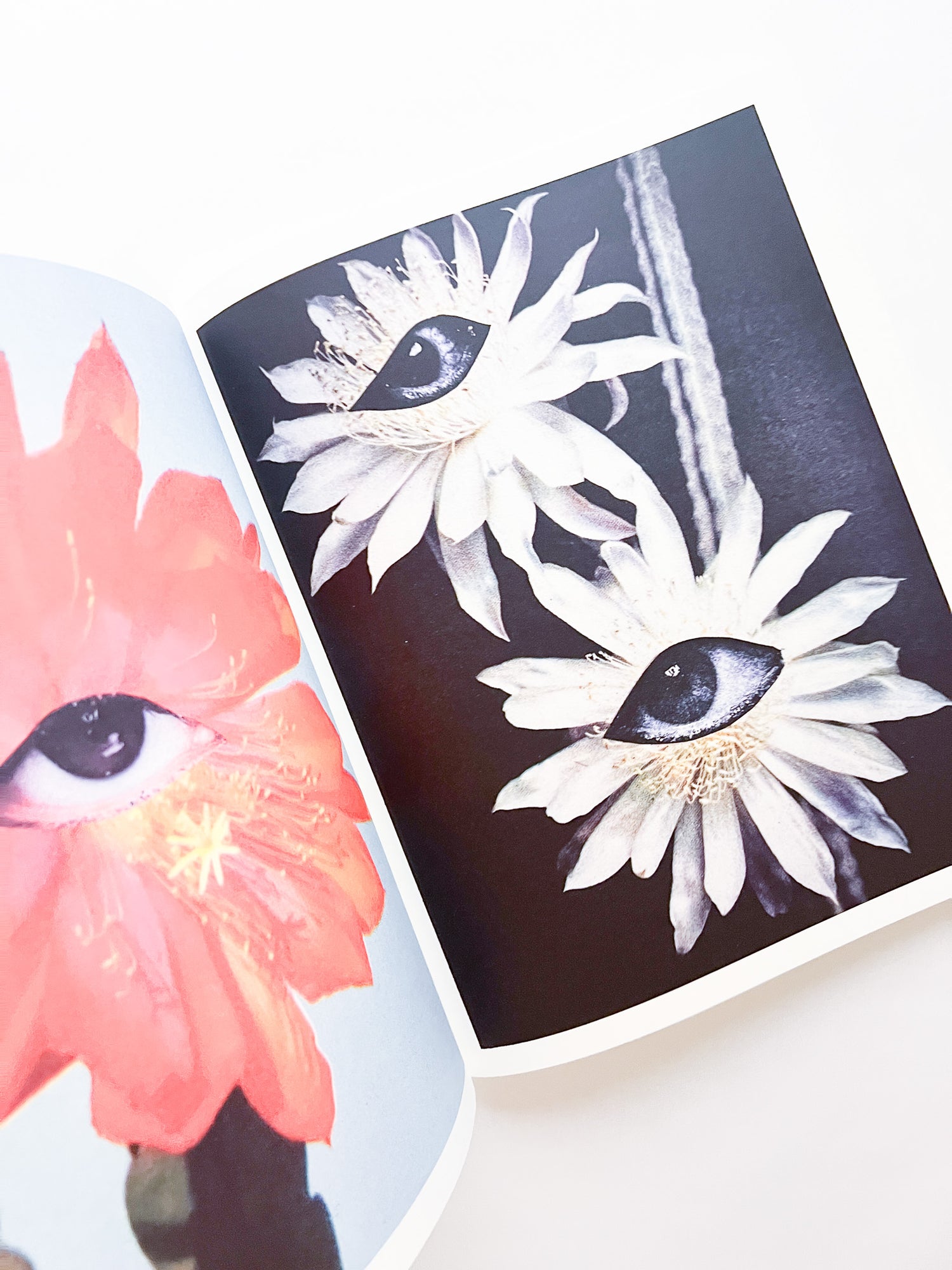 APOPHENIA VOLUME 02: Exquisite Corpse / Julie Wolfe