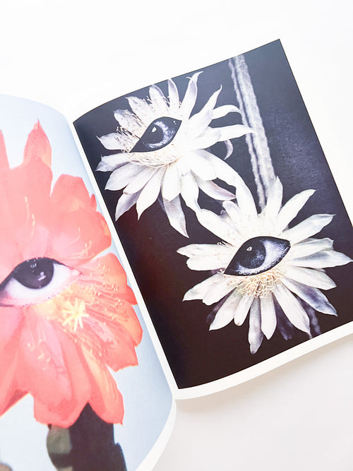 APOPHENIA VOLUME 02: Exquisite Corpse / Julie Wolfe