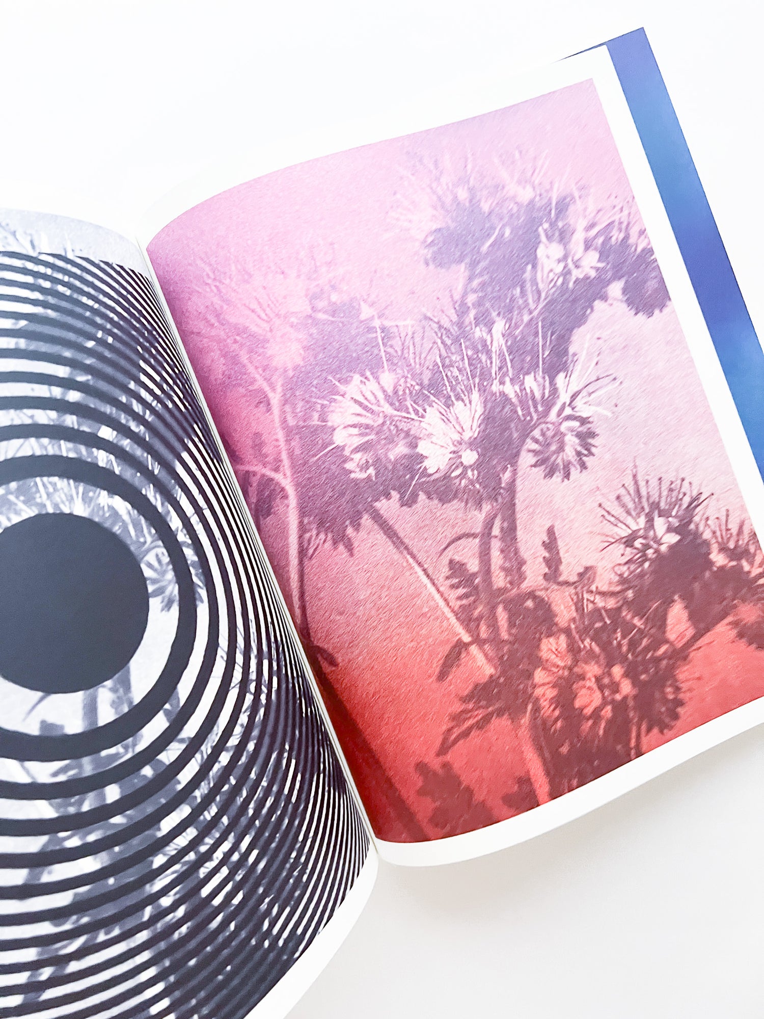 APOPHENIA VOLUME 02: Exquisite Corpse / Julie Wolfe