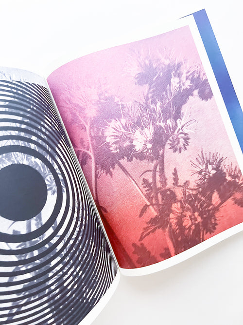 APOPHENIA VOLUME 02: Exquisite Corpse / Julie Wolfe