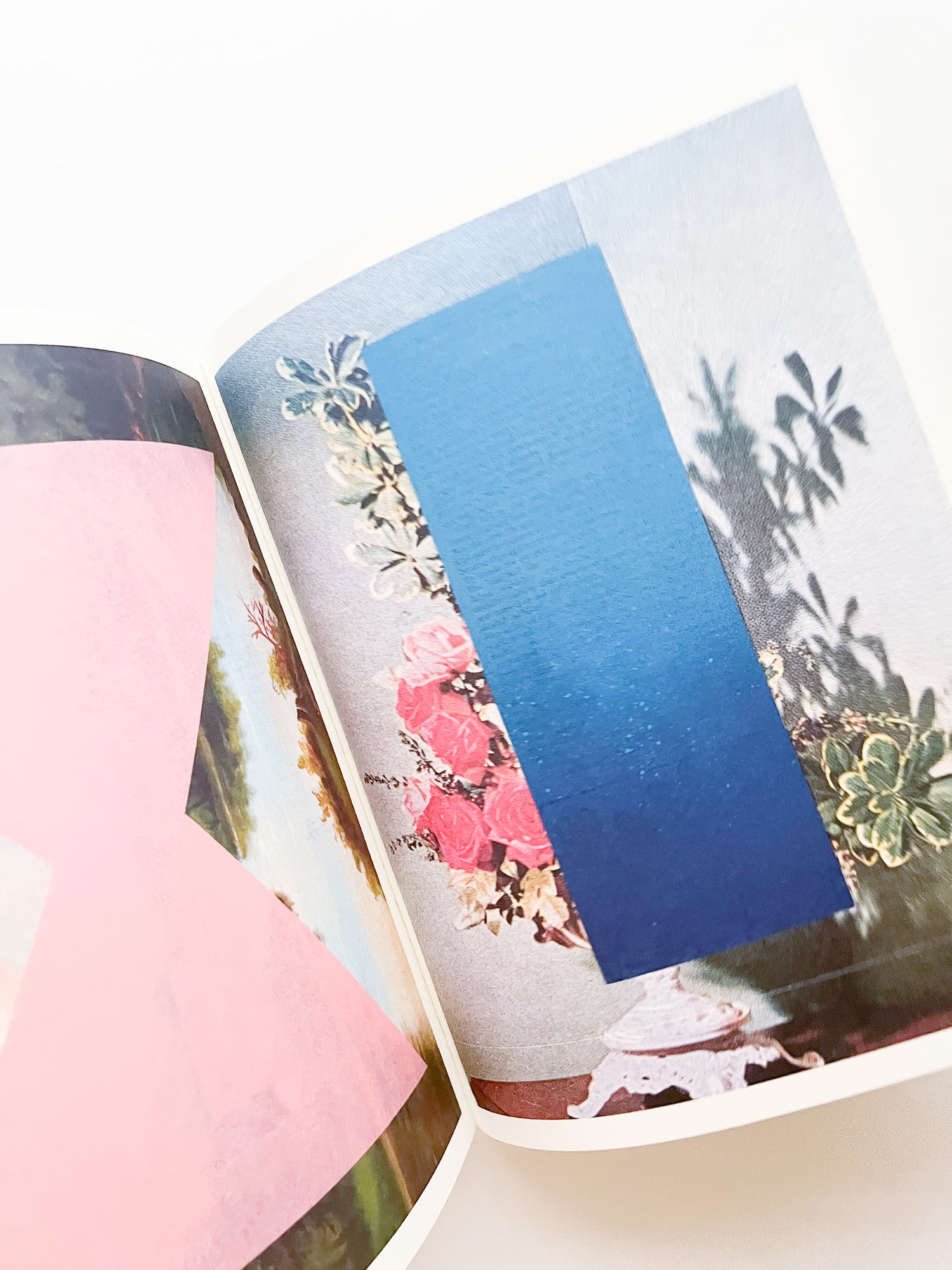 APOPHENIA VOLUME 02: Exquisite Corpse / Julie Wolfe