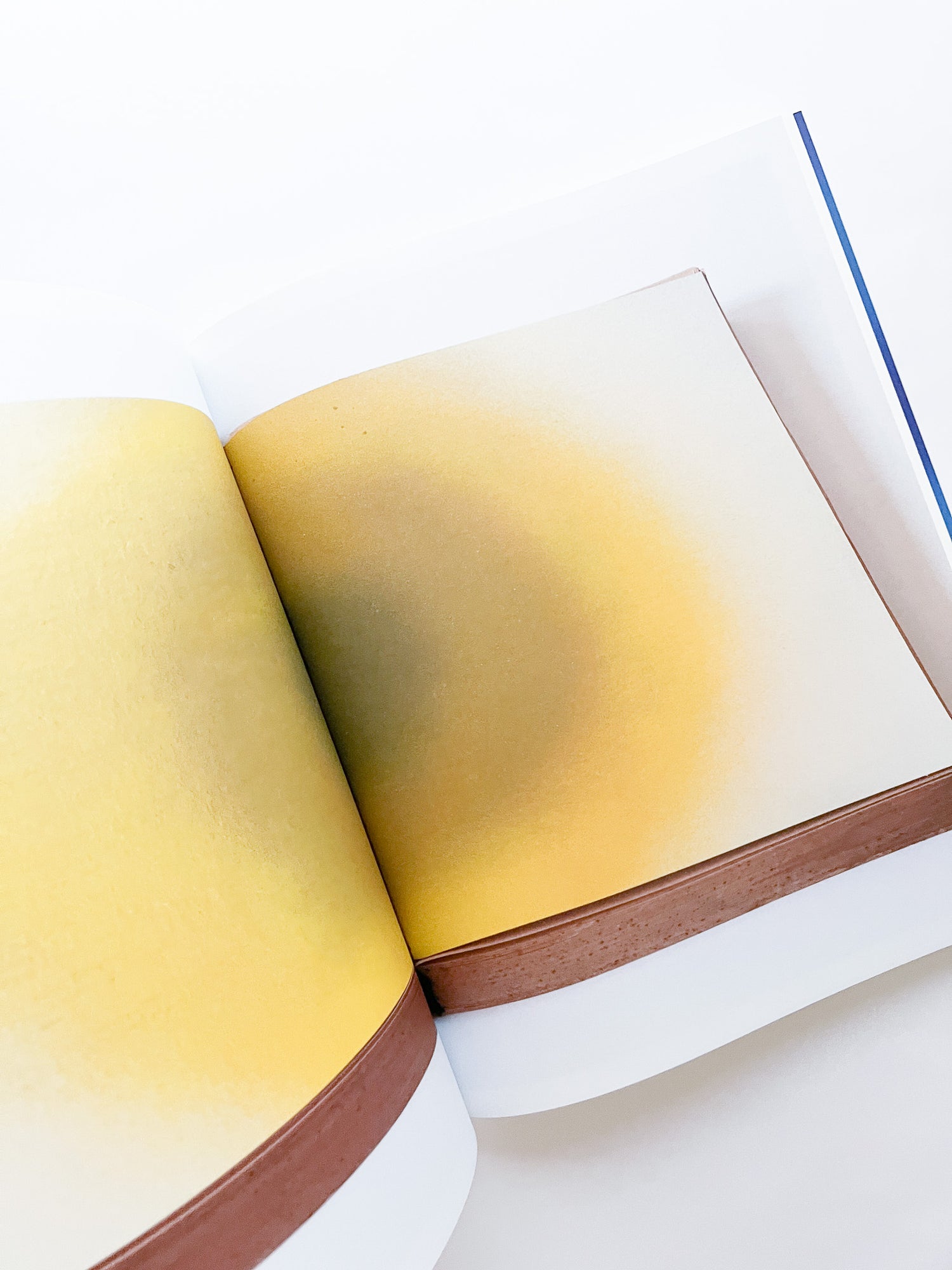 APOPHENIA VOLUME 02: Exquisite Corpse / Julie Wolfe