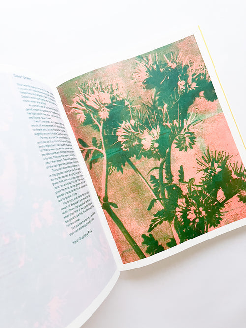 APOPHENIA VOLUME 02: Exquisite Corpse / Julie Wolfe