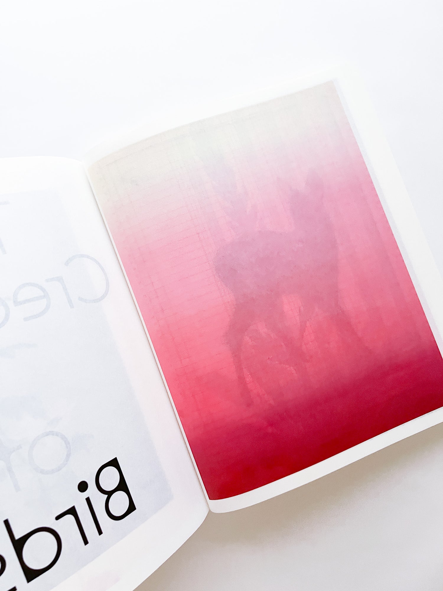 APOPHENIA VOLUME 02: Exquisite Corpse / Julie Wolfe