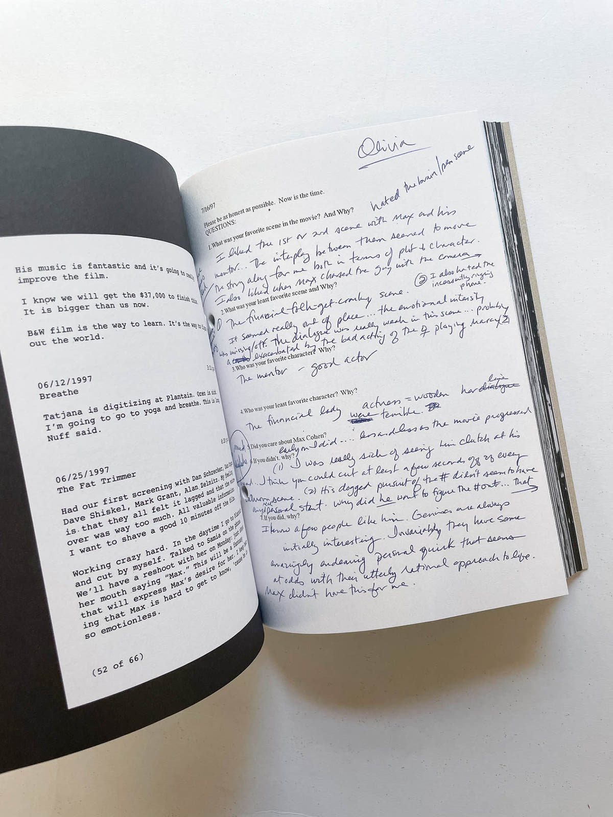 PI: THE GUERILLA DIARIES / Darren Aronofsky