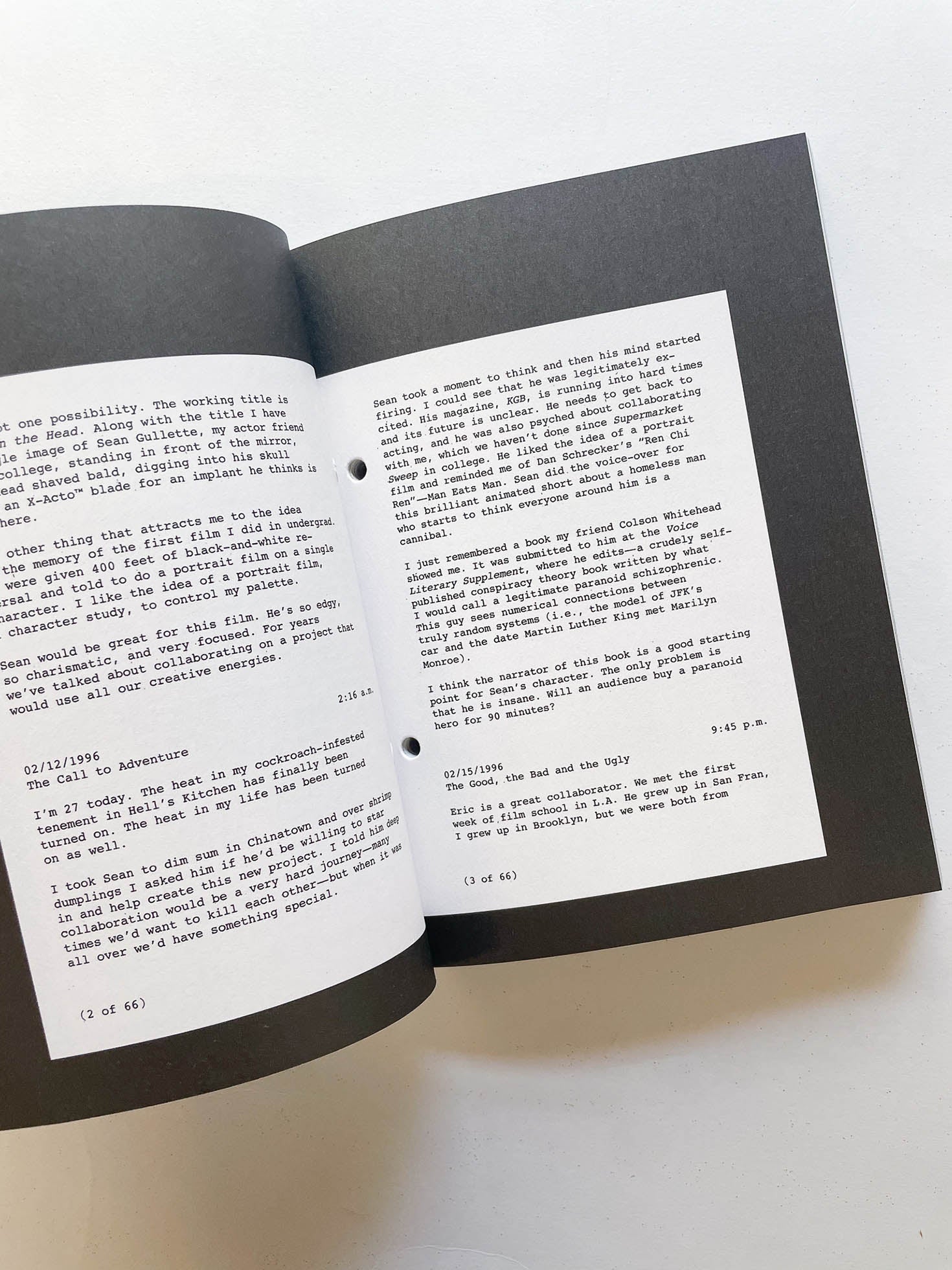 PI: THE GUERILLA DIARIES / Darren Aronofsky