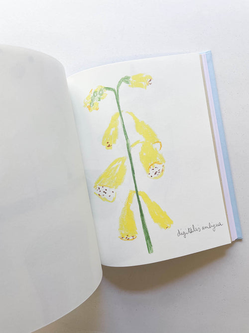 CARNETS / Johanna Tagada Hoffbeck