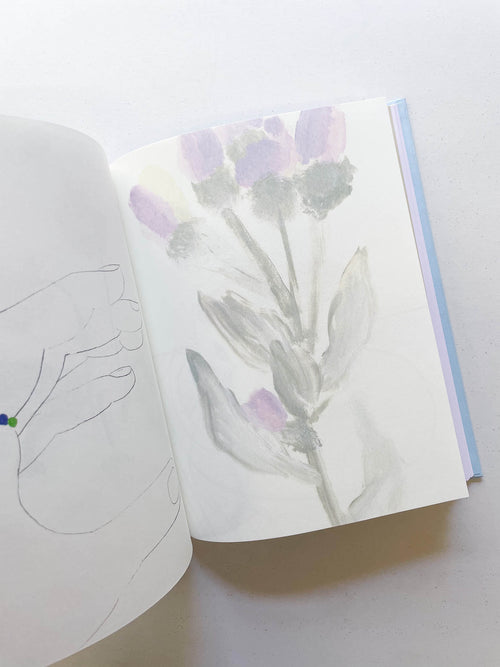 CARNETS / Johanna Tagada Hoffbeck