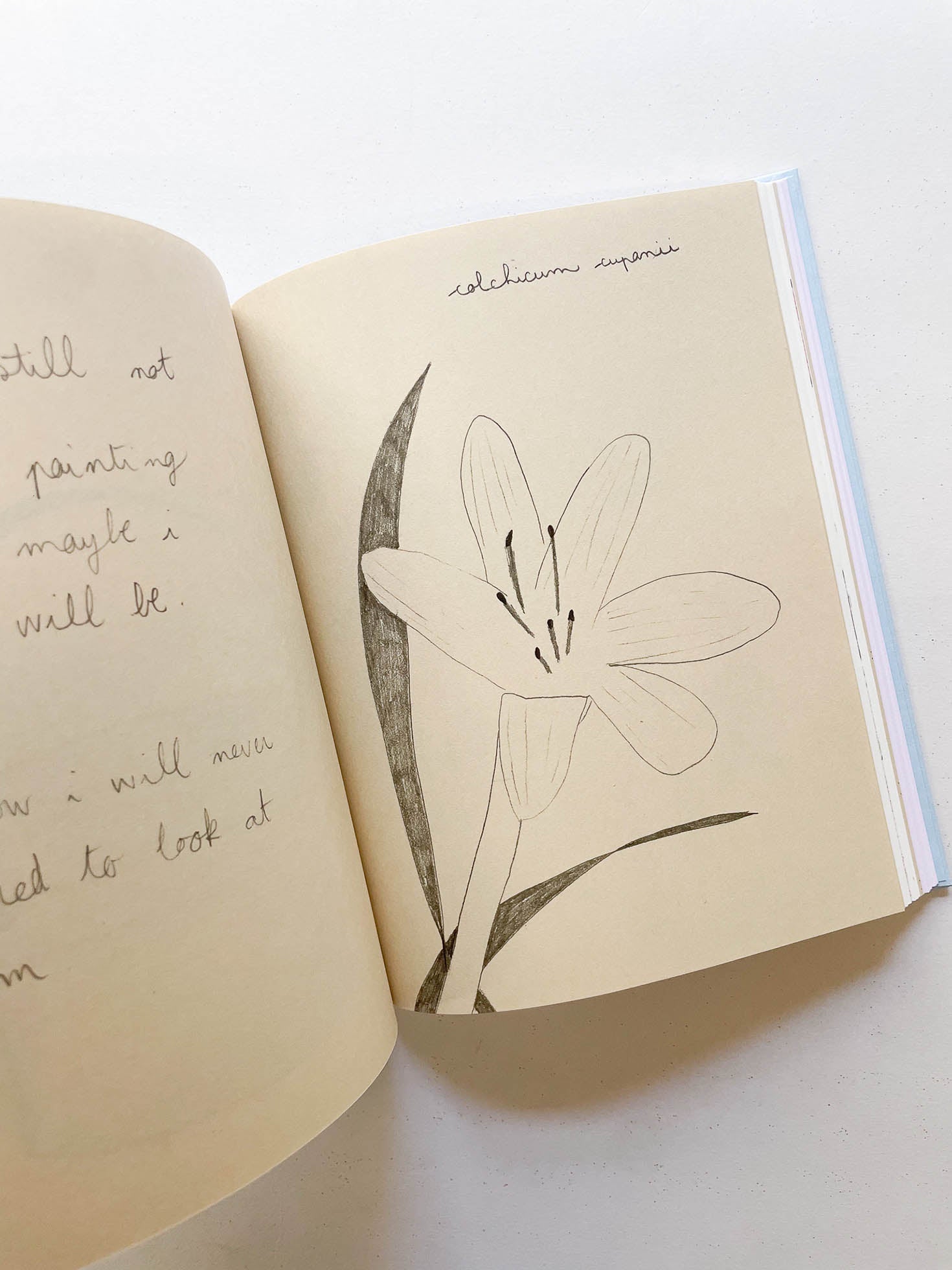 CARNETS / Johanna Tagada Hoffbeck