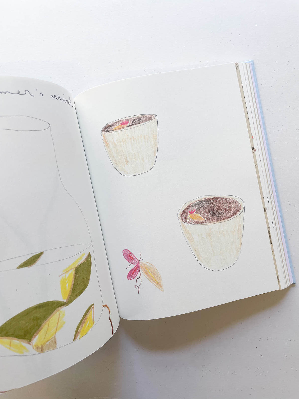 CARNETS / Johanna Tagada Hoffbeck
