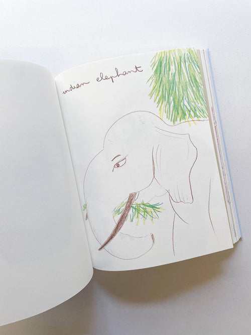 CARNETS / Johanna Tagada Hoffbeck