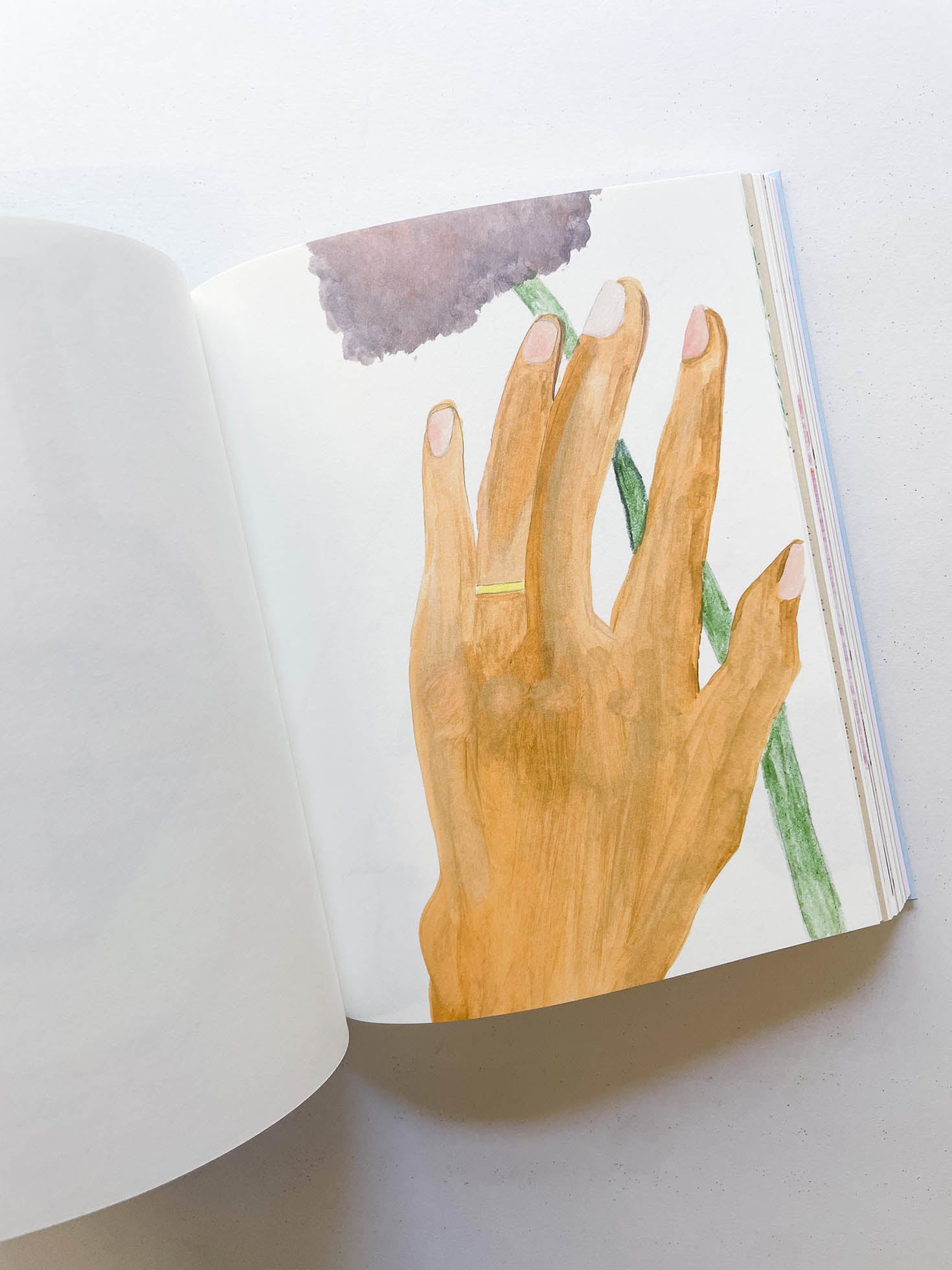 CARNETS / Johanna Tagada Hoffbeck