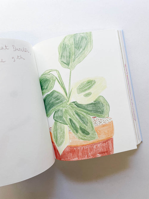 CARNETS / Johanna Tagada Hoffbeck