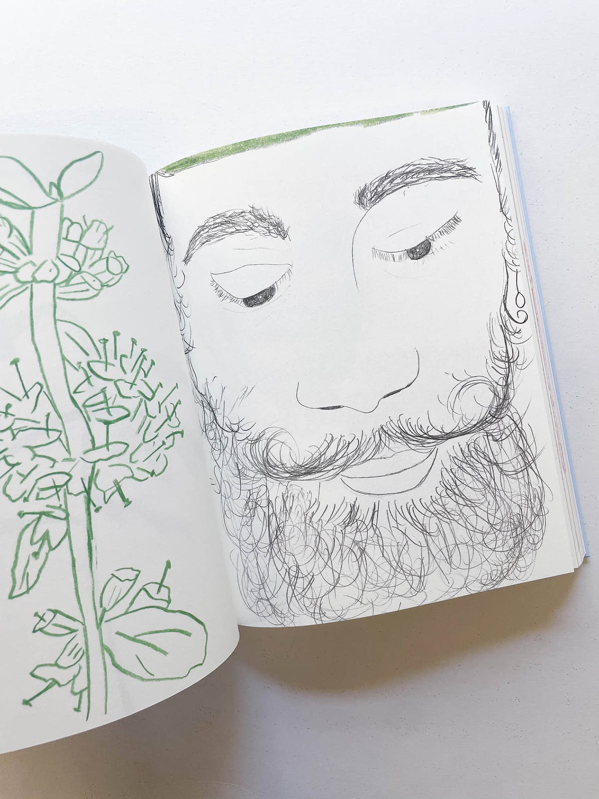 CARNETS / Johanna Tagada Hoffbeck