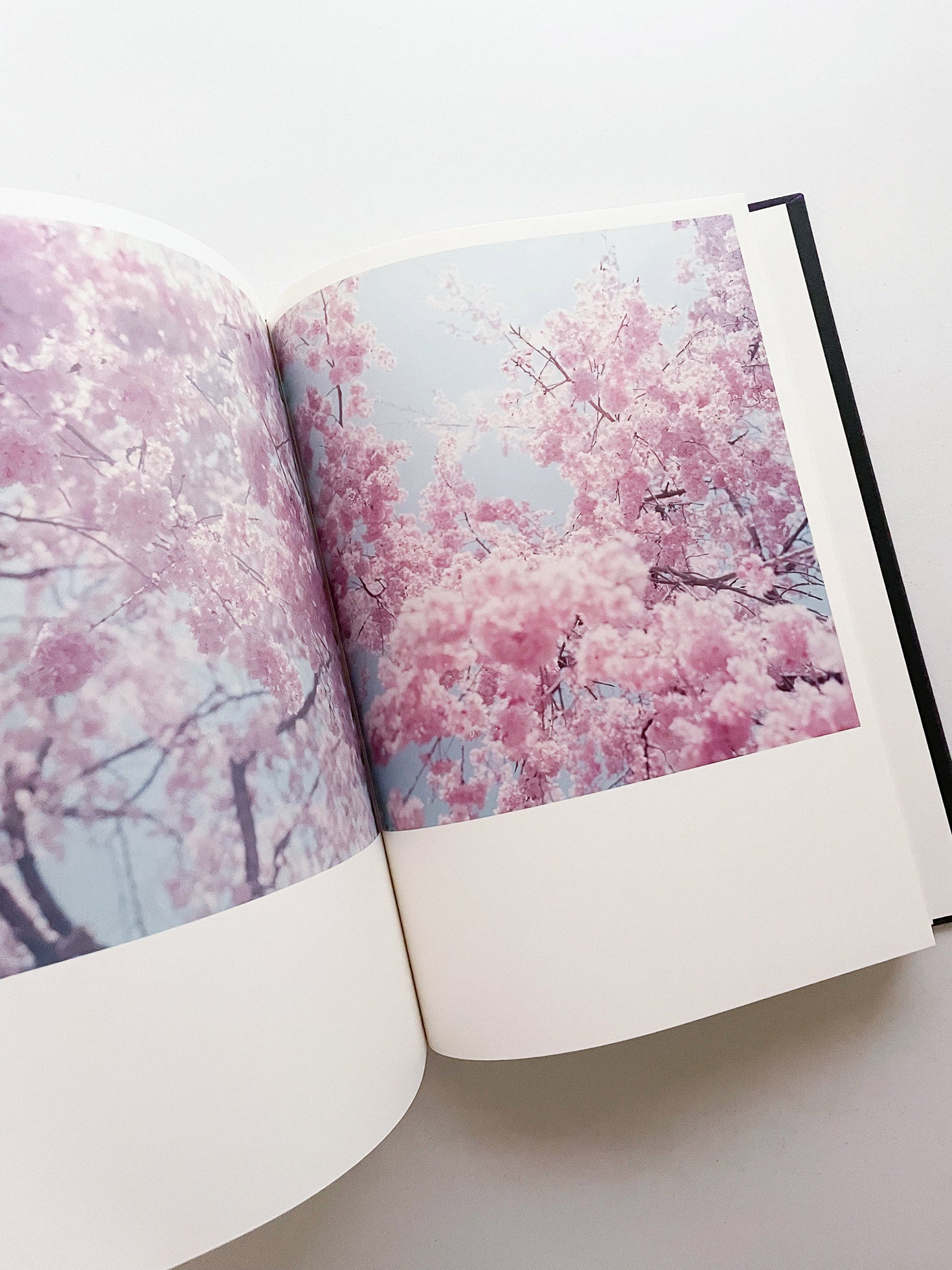 Illuminance: The 10th Anniversary Edition / Rinko Kawauchi