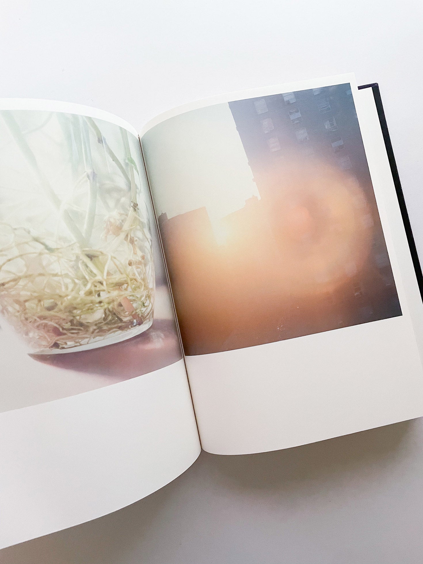 Illuminance: The 10th Anniversary Edition / Rinko Kawauchi