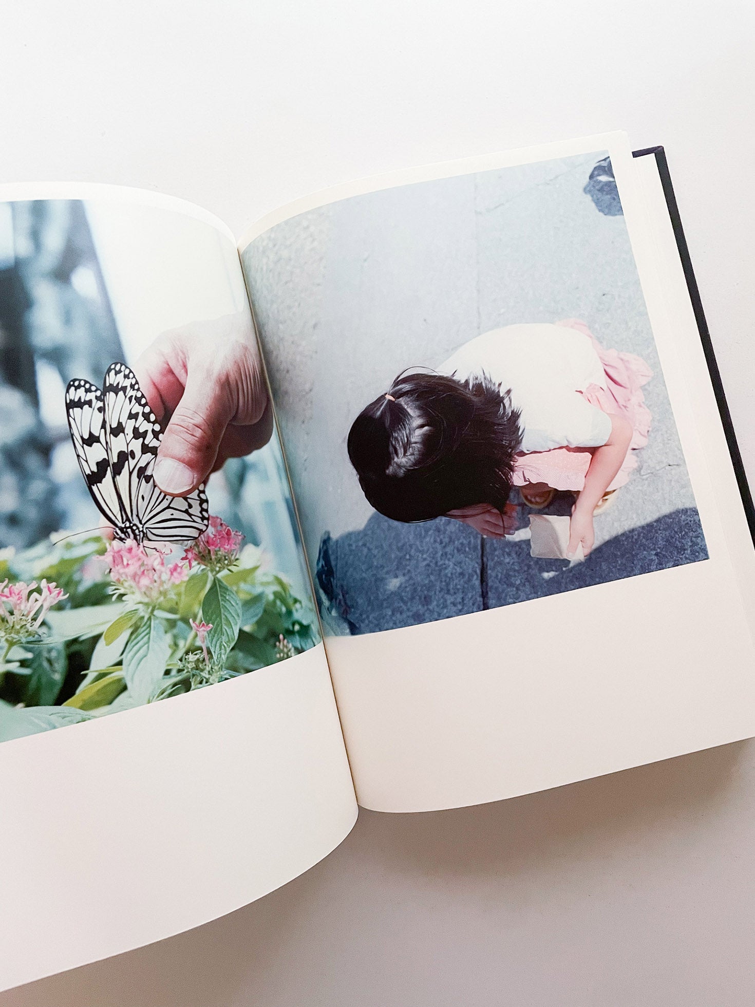 Illuminance: The 10th Anniversary Edition / Rinko Kawauchi