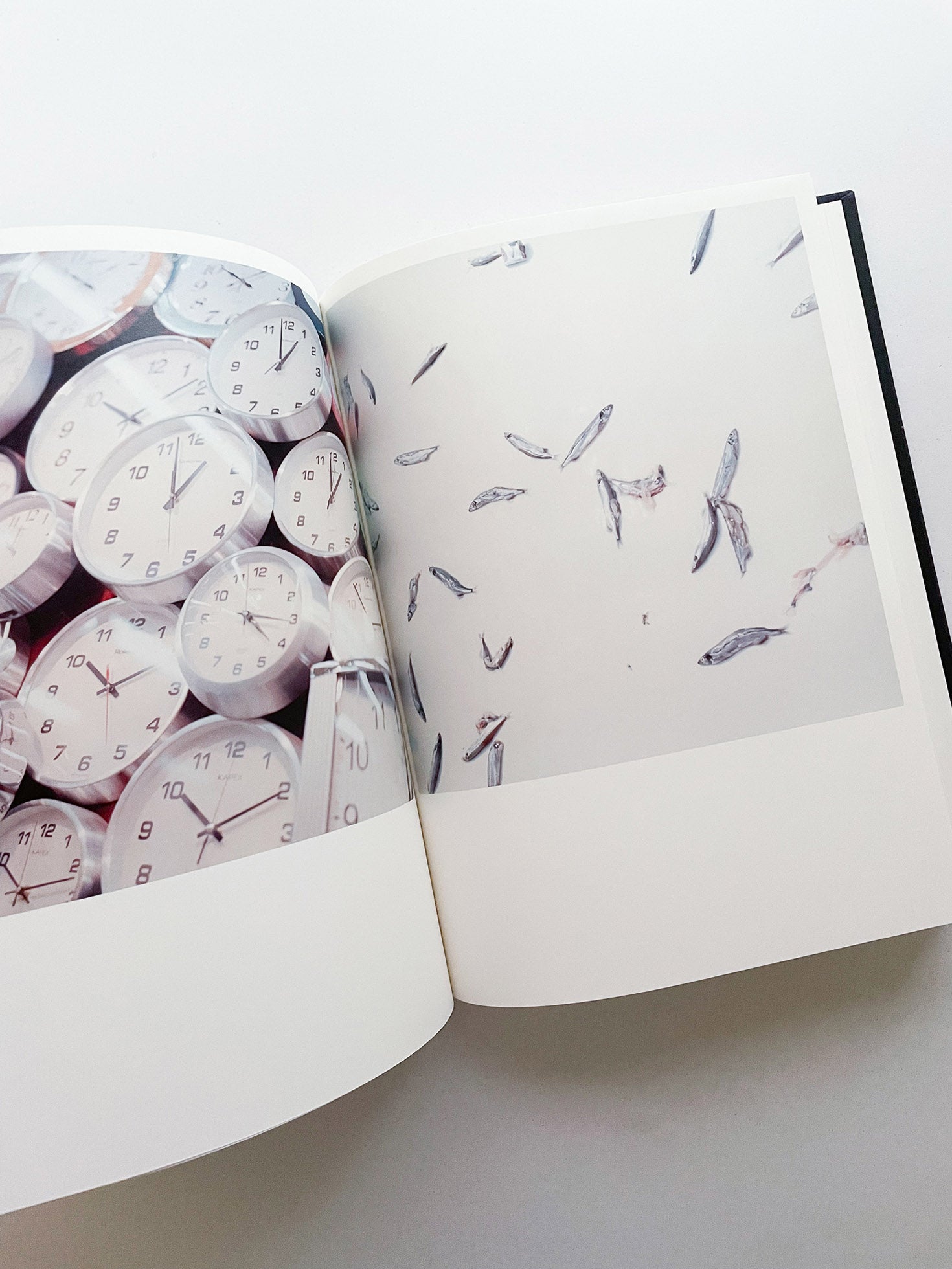 Illuminance: The 10th Anniversary Edition / Rinko Kawauchi