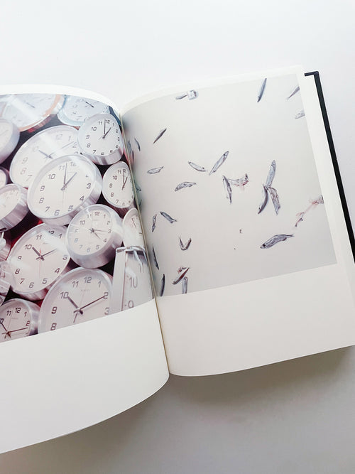 Illuminance: The 10th Anniversary Edition / Rinko Kawauchi