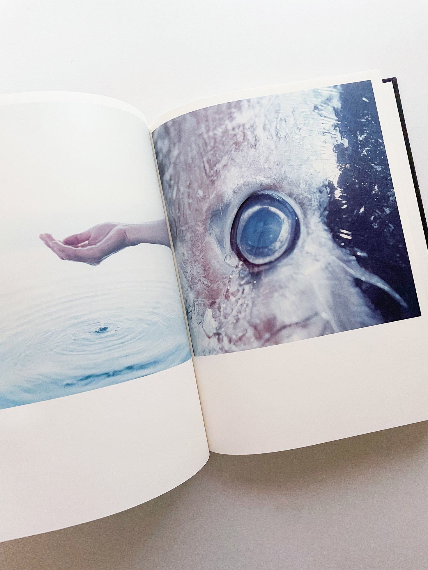 Illuminance: The 10th Anniversary Edition / Rinko Kawauchi